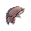 Hard Insect Shell visual reference