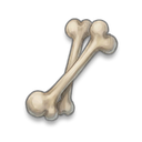 Skeleton Bone visual reference
