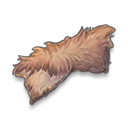 Round Shell visual reference