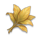 Yellow Herb visual reference