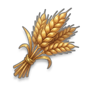 Grains visual reference