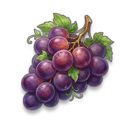 Grape visual reference