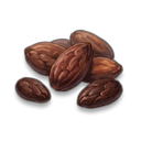 Cocoa Bean visual reference