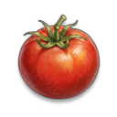 Tomato visual reference
