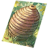 Card: Pupa visual reference