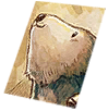Card: Baby Desert Wolf visual reference