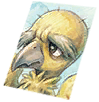 Card: Condor visual reference