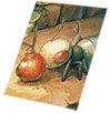 Card: Andre visual reference