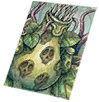 Card: Mandragora visual reference