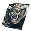 Shadow Card: Minorous visual reference