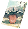 Card: Shellfish visual reference