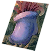 Card: Penomena visual reference