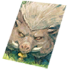 Card: Savage visual reference