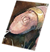 Card: Hode visual reference