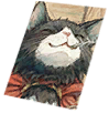Card: Wild Rose visual reference