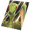 Card: Mantis visual reference