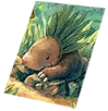 Card: Martin visual reference