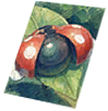 Card: Ladybug visual reference