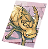 Sketch Card: Golden Thief Bug visual reference