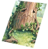 Card: Elder Willow visual reference