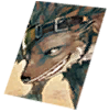 Card: Desert Wolf visual reference