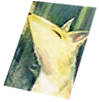 Card: Nine-Tail visual reference