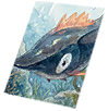 Card: Phen visual reference