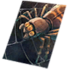 Card: Argos visual reference