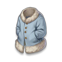 Novice Coat visual reference