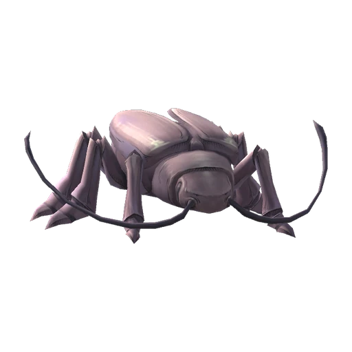 Thief Bug Female visual reference