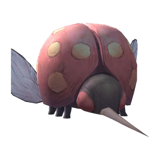 Ladybug visual reference