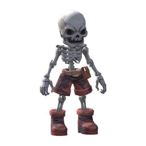 Skeleton visual reference