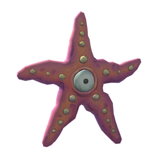 Starfish visual reference