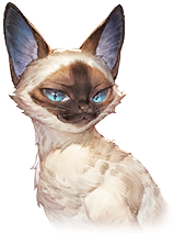 Katie visual reference