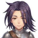 Knight's Member visual reference