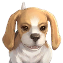 Puppy visual reference