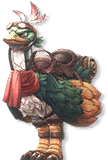 Ostrich visual reference
